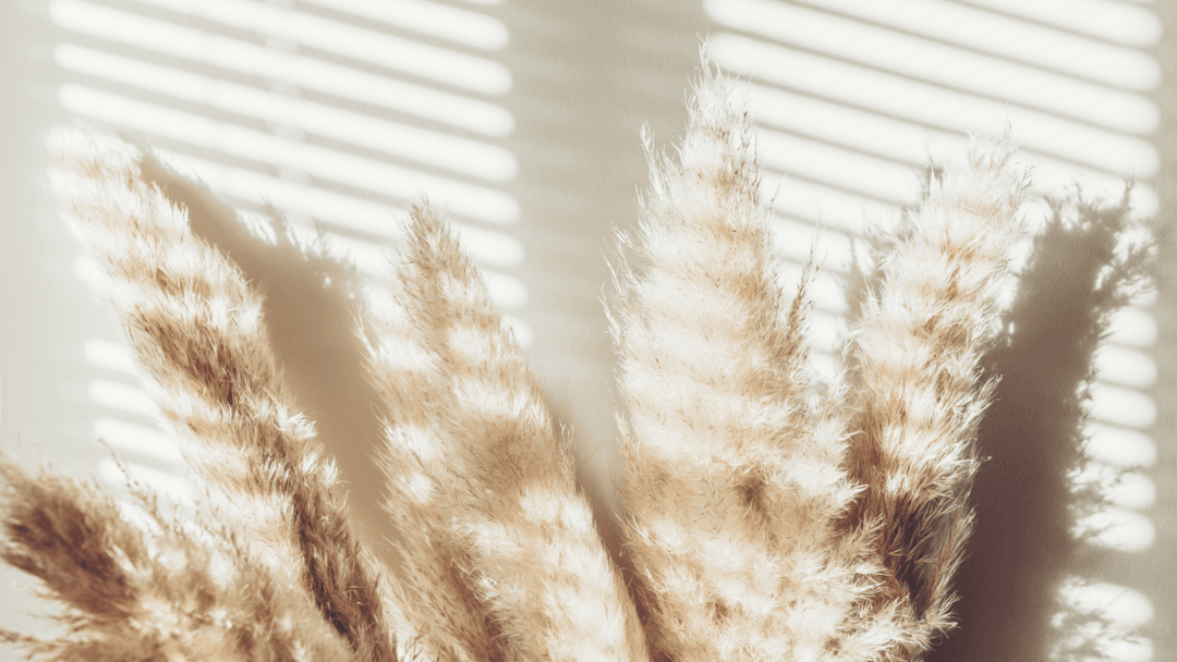 How to Style Your Home With Dried Pampas Grass - Use Pink or White Pampas Grass As Décor | Yililo