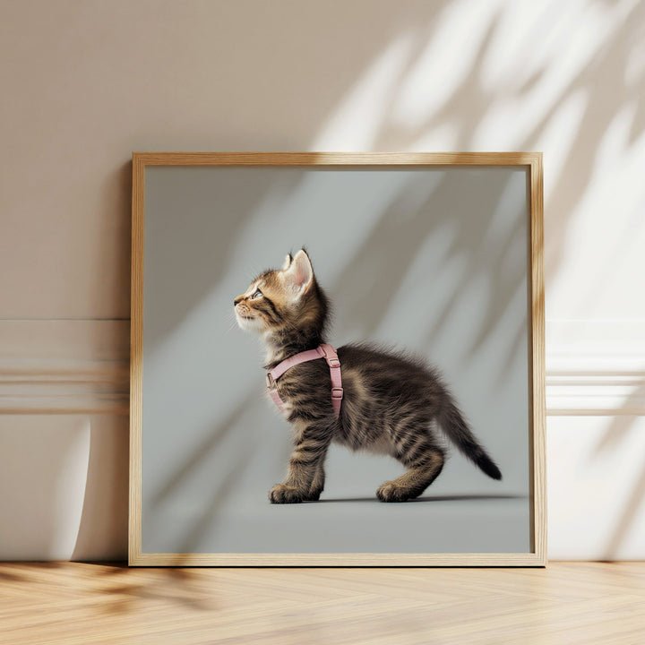 Kitten In A Harness Fun Wall Poster