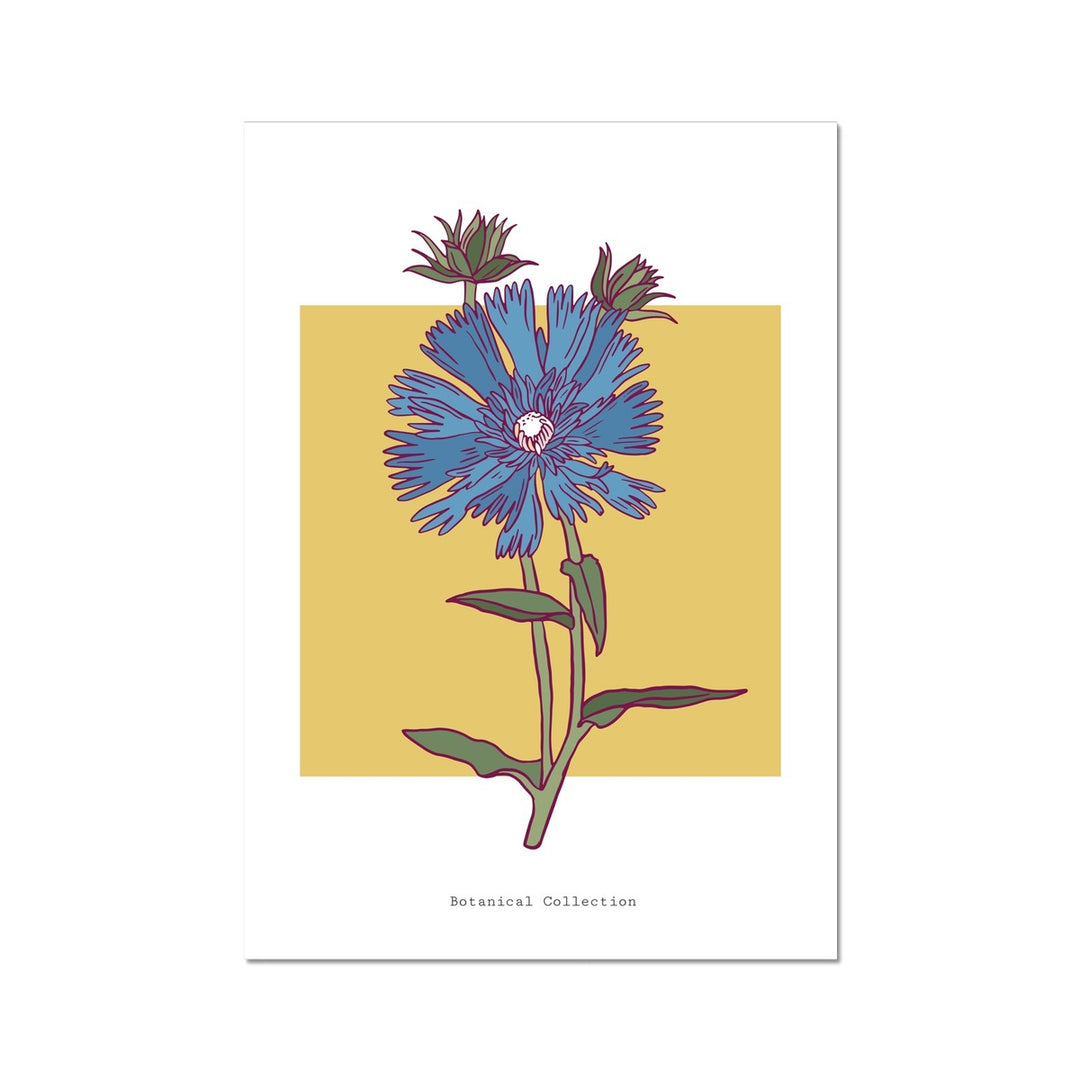 The Thin Blue Bloom Fine Wall Art Print