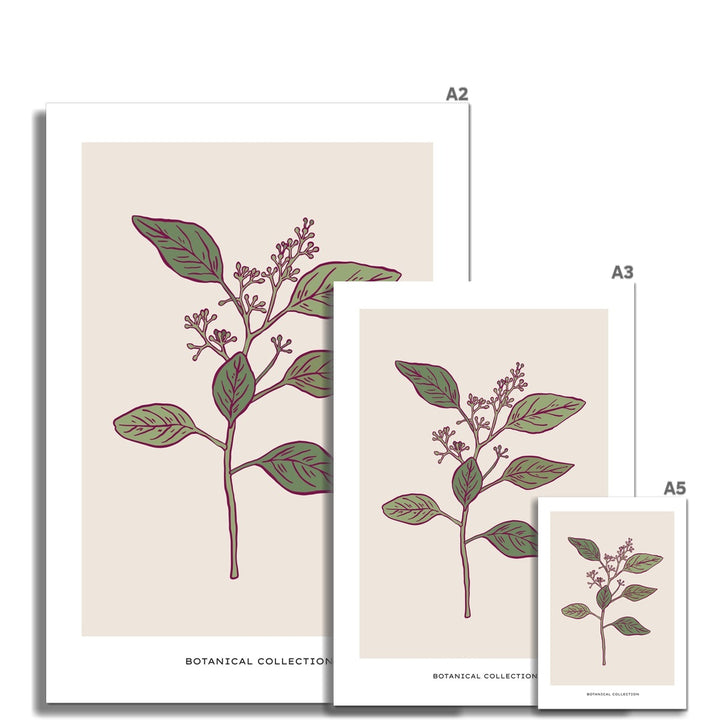 The Growing Lavender Fine Wall Art Print