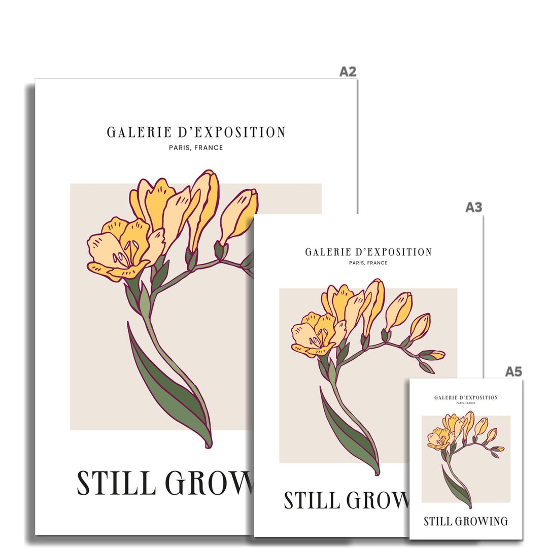 Stages Of Bloom Fine Wall Art Print