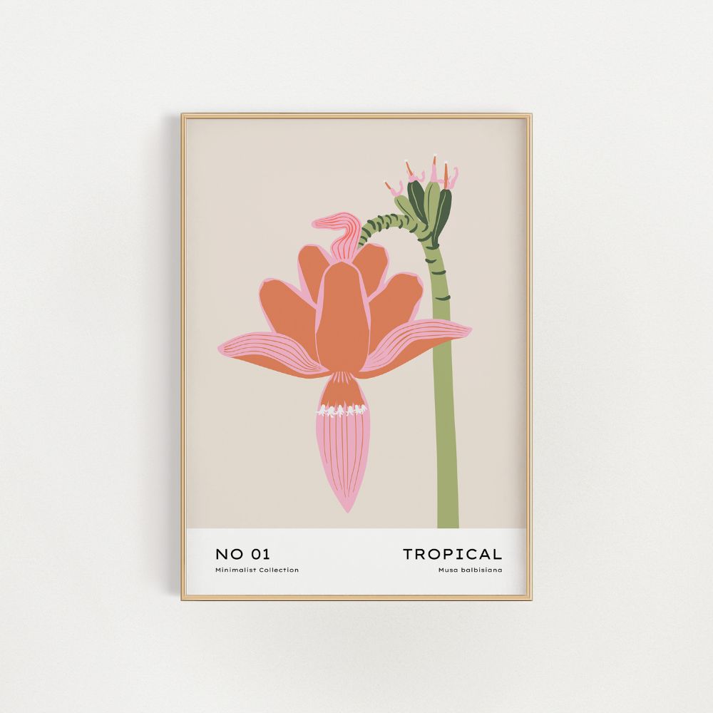 The Pink Musa Tropical Flowers Wall Art Poster - Yililo