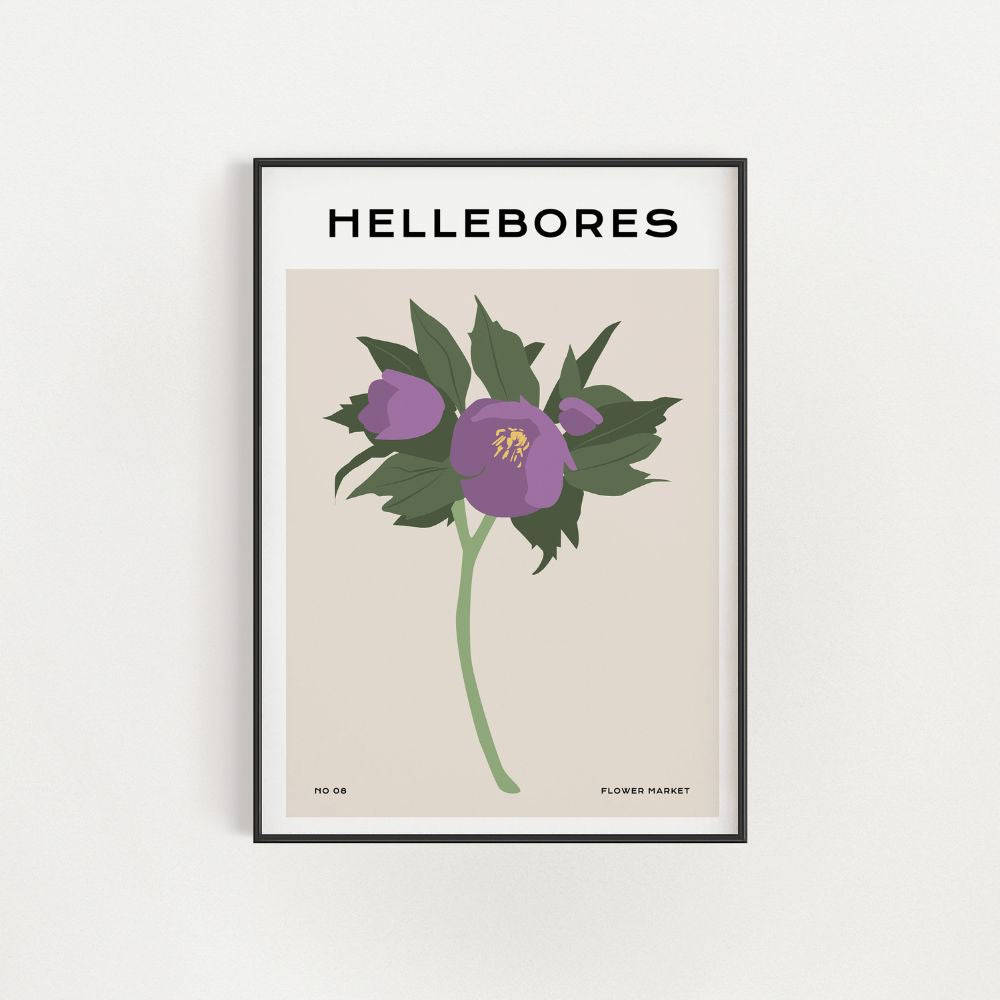 The Purple Hellebores Wall Art Poster - Yililo