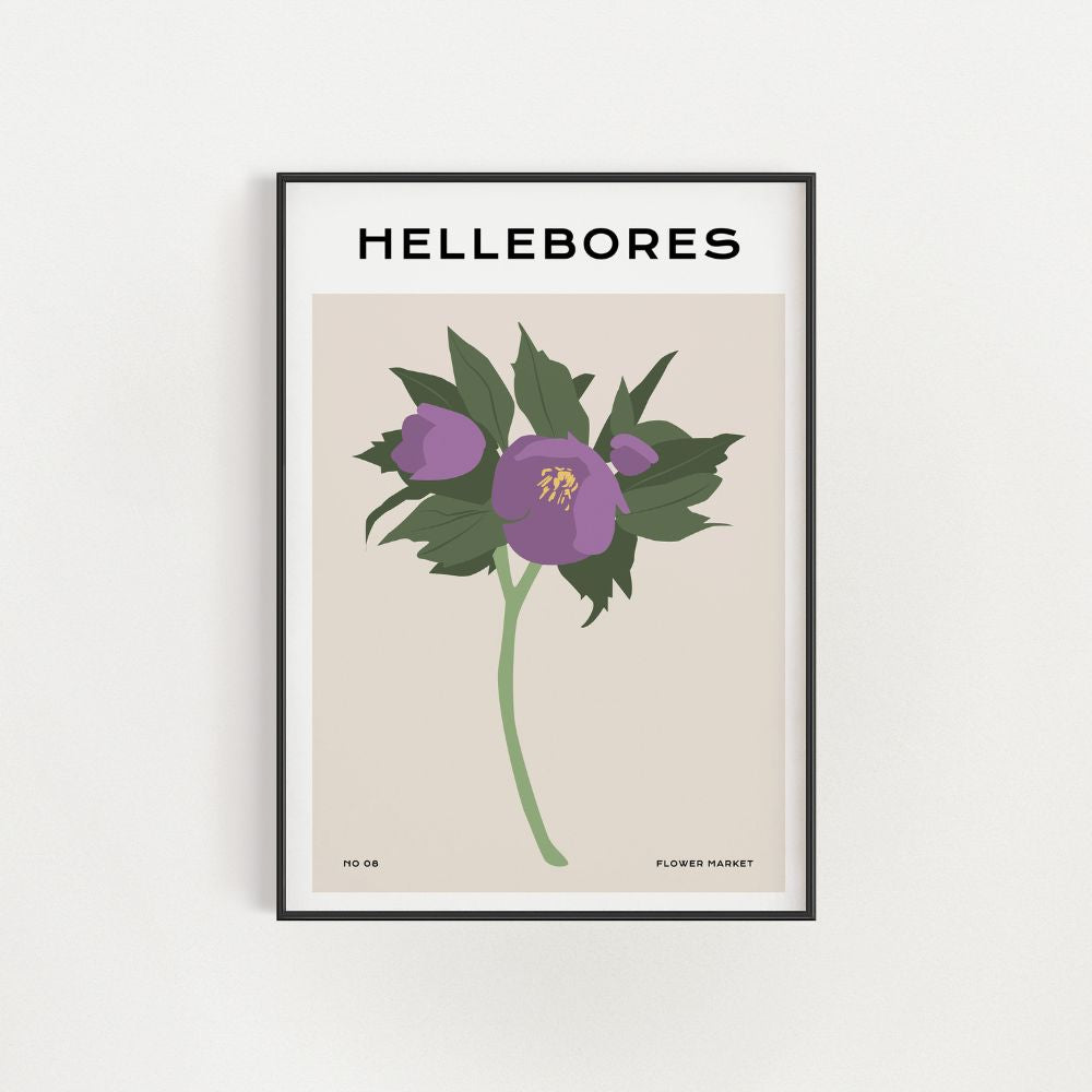 The Purple Hellebores Wall Art Poster