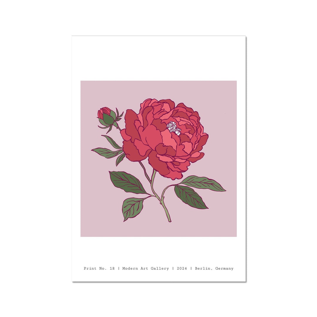 The Big Red Rose Fine Wall Art Print