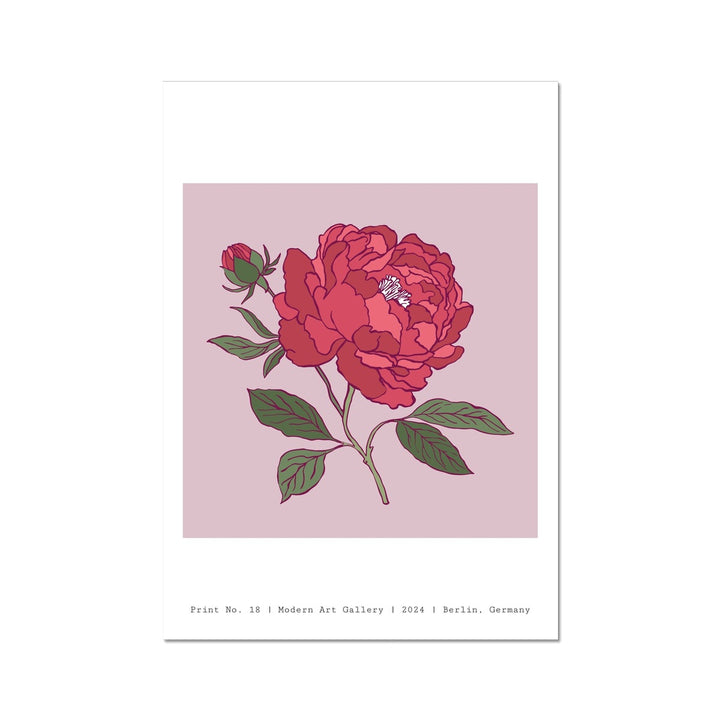 The Big Red Rose Fine Wall Art Print