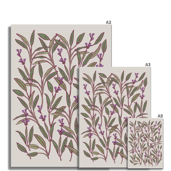 Lavender Vines Fine Wall Art Print