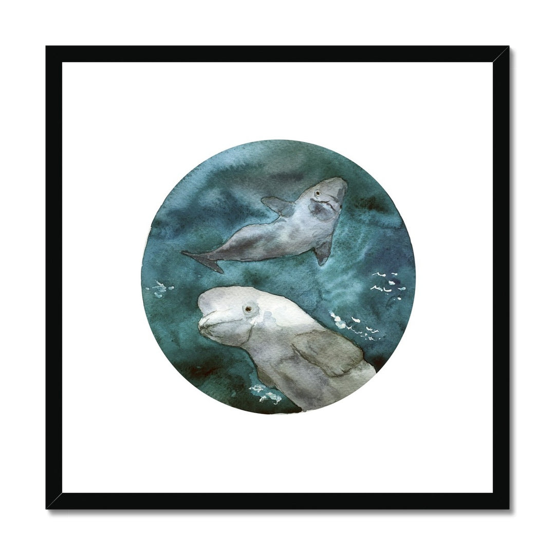 Framed Print 2 Dolphin Wall Art 50cm - Yililo