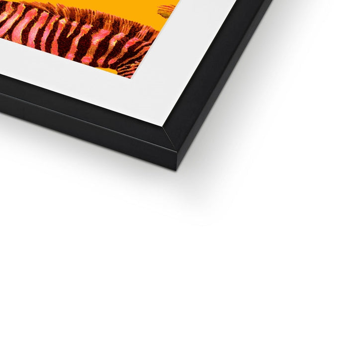 Yellow Zebra Framed & Mounted Art Print - Yililo