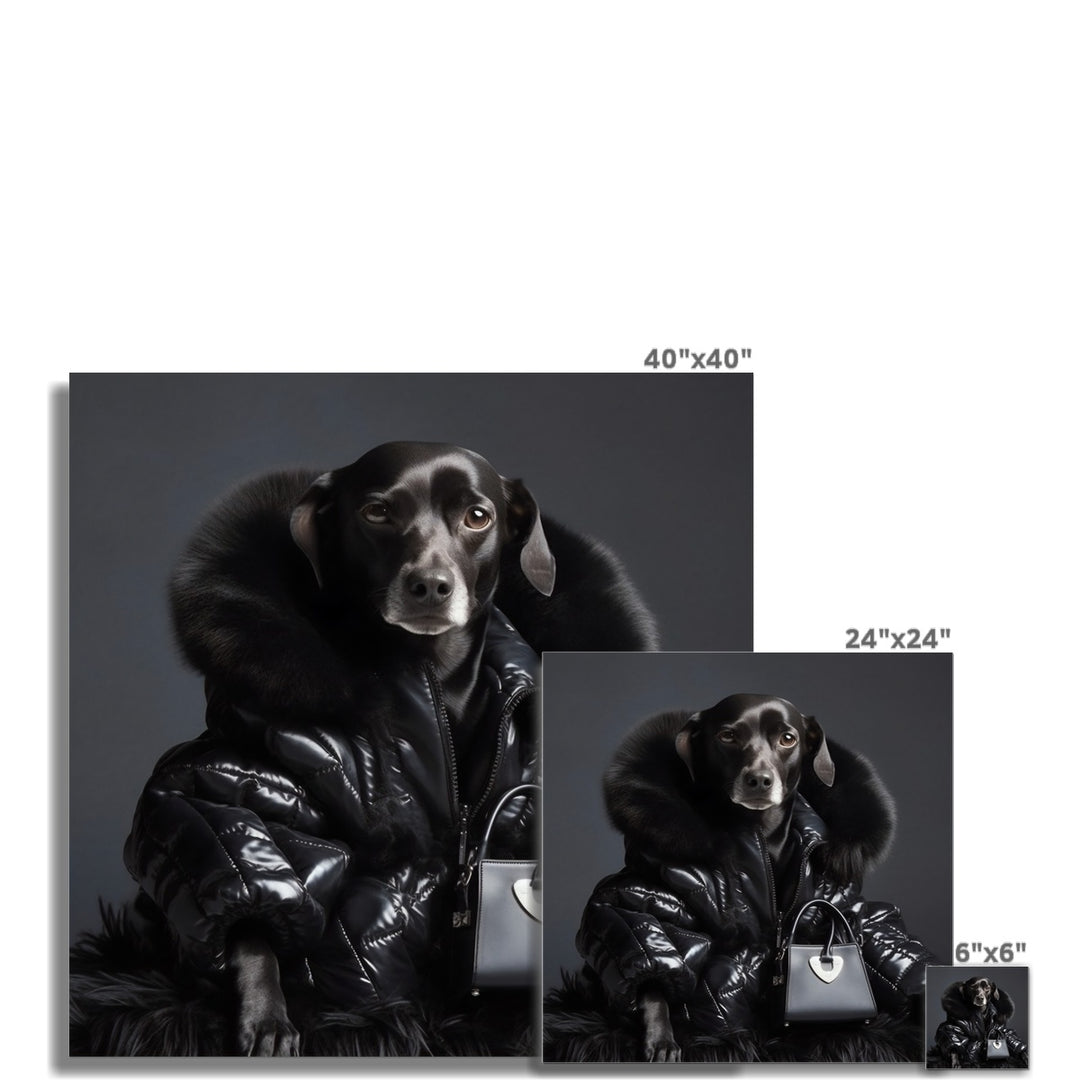 Black Dog With Fur Coat Funny Wall Art Poster