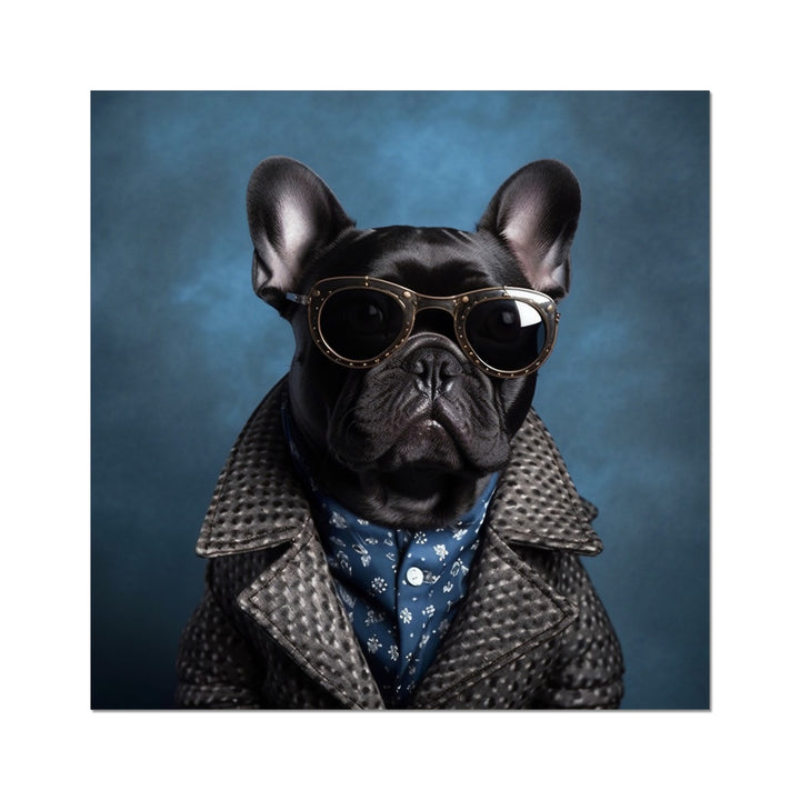 Blue Bull Dog In Sunglasses Funny Animal Wall Art Poster
