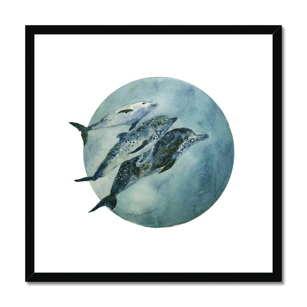 Framed Print 3 Dolphin Wall Art - Yililo