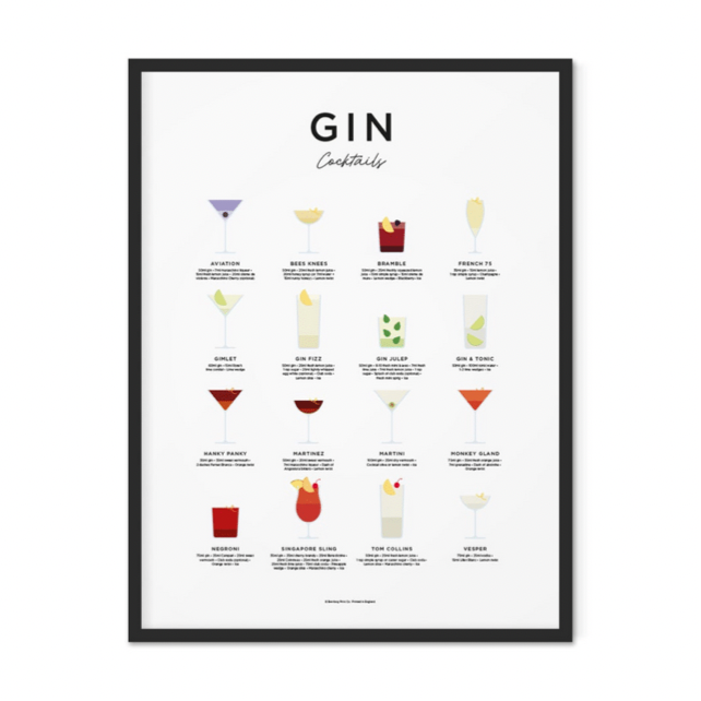 GIN Cocktail 25 Recipe Art 50 x 70cm - Yililo